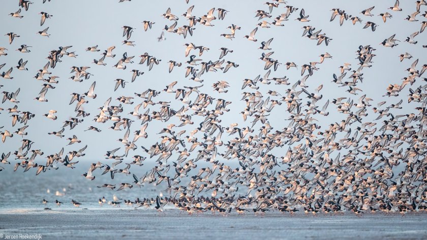 "The potential of the North Sea is enormous" "The potential of the North Sea is enormous"