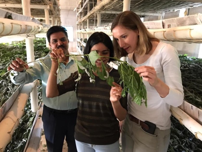 Anjani Nayak and Fabiola Neitzel visit a silkworm farm during their trip to India (Credit: Team SWAP). Anjani Nayak and Fabiola Neitzel visit a silkworm farm during their trip to India (Credit: Team SWAP).