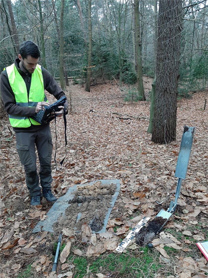 Beschrijving van het bodemprofiel op de locatie van de NBI-opname. De bovenkant van het bodemprofiel ligt aan de onderkant van de foto. Beschrijving van het bodemprofiel op de locatie van de NBI-opname. De bovenkant van het bodemprofiel ligt aan de onderkant van de foto.
