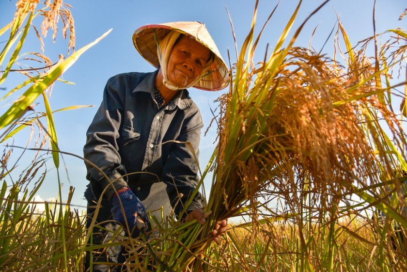 Climate story 3: Vietnam Delta Plan