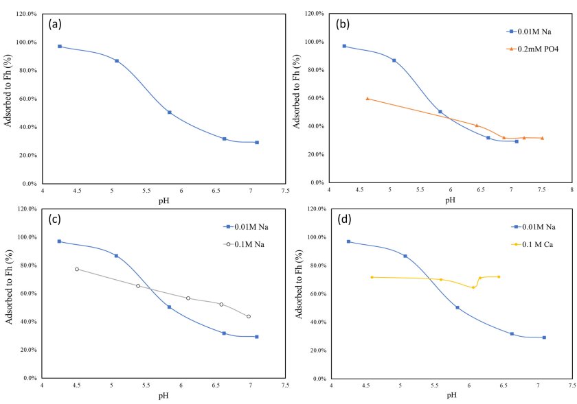 Figure 1 Effect of pH, ionic strength, competing and synergistic ions on PFOS adsorption onto ferrihydrite. (a) pH; (b) the present of competing ions (phosphate); (c) ionic strength (0.01M Na+ and 0.1M Na+); (d) the present of synergistic ions (Ca2+). Figure 1 Effect of pH, ionic strength, competing and synergistic ions on PFOS adsorption onto ferrihydrite. (a) pH; (b) the present of competing ions (phosphate); (c) ionic strength (0.01M Na+ and 0.1M Na+); (d) the present of synergistic ions (Ca2+).