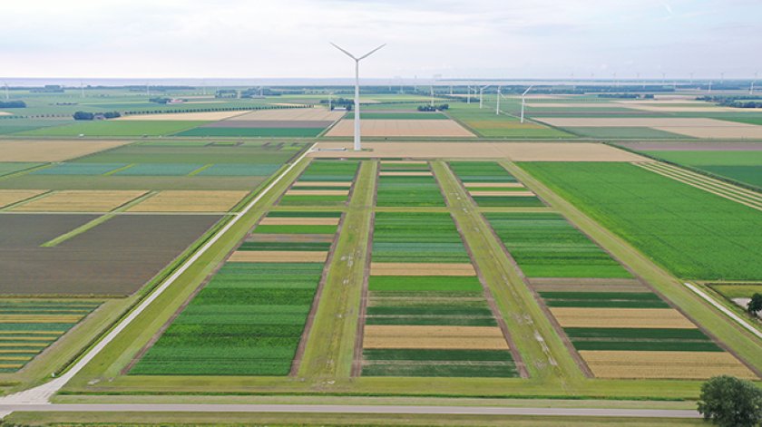 Figuur 2. De ICM akkerbouw systeemproef gewasbescherming in Lelystad Figuur 2. De ICM akkerbouw systeemproef gewasbescherming in Lelystad