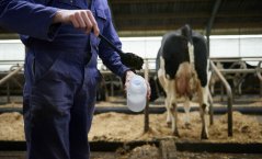 Research into methane emisson from manure Research into methane emisson from manure