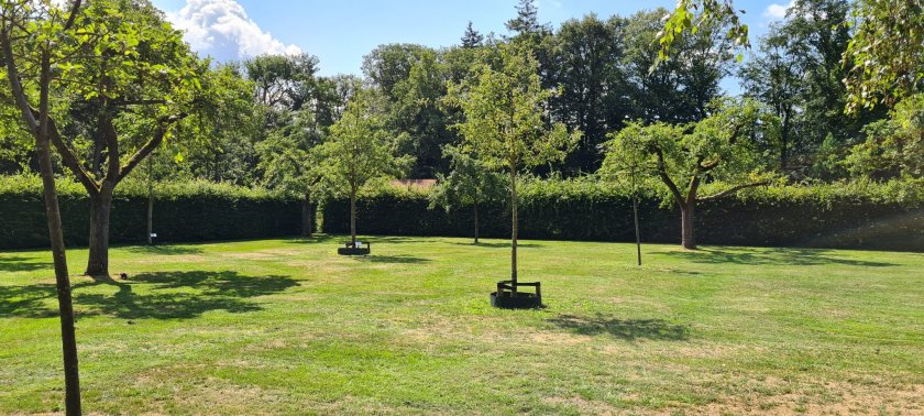 Orchard in Honor of Female Engineers Orchard in Honor of Female Engineers