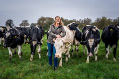 In Nooitgedacht in Drenthe, dairy farmer Giske Warringa coordinates the Wageningen research project on collaboration between arable farmers and livestock farmers. ‘We said: you’re welcome to do research here, and maybe we will learn from the other four PAVEx areas.’ Photo: Jaspar Moulijn. In Nooitgedacht in Drenthe, dairy farmer Giske Warringa coordinates the Wageningen research project on collaboration between arable farmers and livestock farmers. ‘We said: you’re welcome to do research here, and maybe we will learn from the other four PAVEx areas.’ Photo: Jaspar Moulijn.