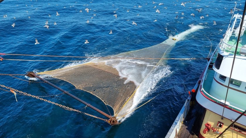 The new fishing gear kiwi codend The new fishing gear kiwi codend
