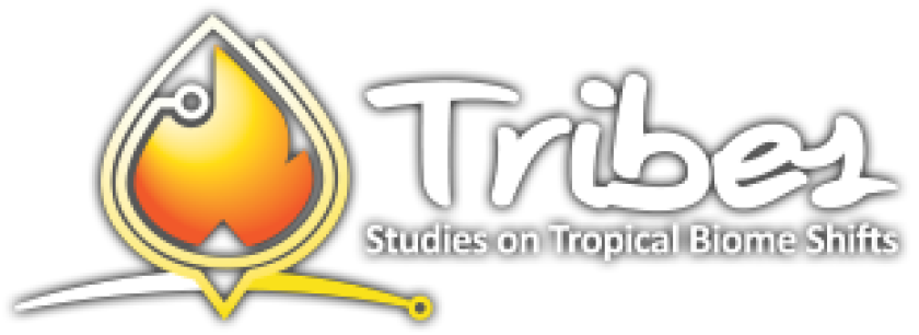 tribes-logo-negwshadow-tropical-biome-shifts.png tribes-logo-negwshadow-tropical-biome-shifts.png