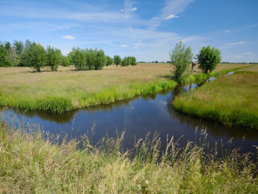 Natura 2000 gebied de Donkse Laagten wordt door Staatsbosbeheer verpacht aan lokale boeren. Er liggen waardevolle bloemrijke graslanden (fase 4) en het gebied heeft een groeiende populatie weidevogels. Veel van de lokale boeren doen op hun aangrenzende percelen aan agrarisch natuur- en landschapsbeheer (ANLb). Zeven van de 29 onderzochte percelen lagen in de Donkse Laagten. Foto: Bendiks Westerink Natura 2000 gebied de Donkse Laagten wordt door Staatsbosbeheer verpacht aan lokale boeren. Er liggen waardevolle bloemrijke graslanden (fase 4) en het gebied heeft een groeiende populatie weidevogels. Veel van de lokale boeren doen op hun aangrenzende percelen aan agrarisch natuur- en landschapsbeheer (ANLb). Zeven van de 29 onderzochte percelen lagen in de Donkse Laagten. Foto: Bendiks Westerink
