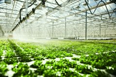 In a network, users are linked, to allow for the reuse of purified wastewater in horticulture, for example. In a network, users are linked, to allow for the reuse of purified wastewater in horticulture, for example.