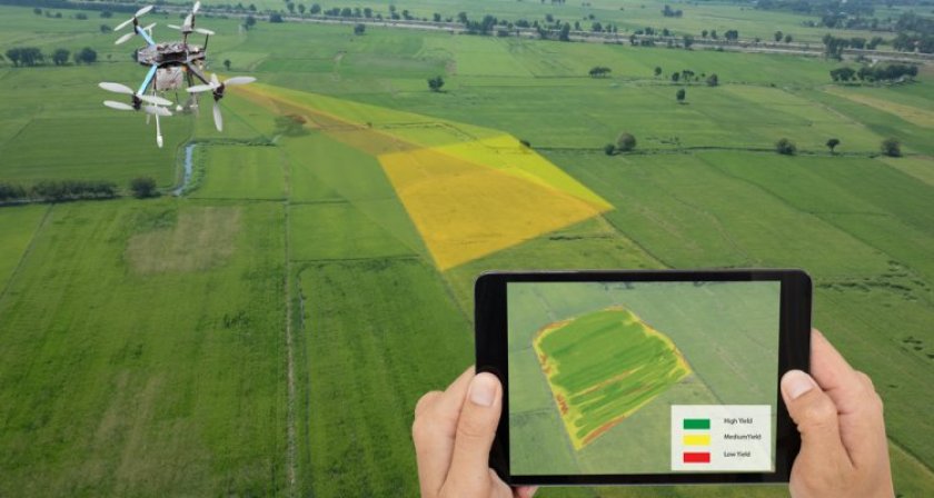 Smart farming using a drone and tablet (Image: Shutterstock). Smart farming using a drone and tablet (Image: Shutterstock).