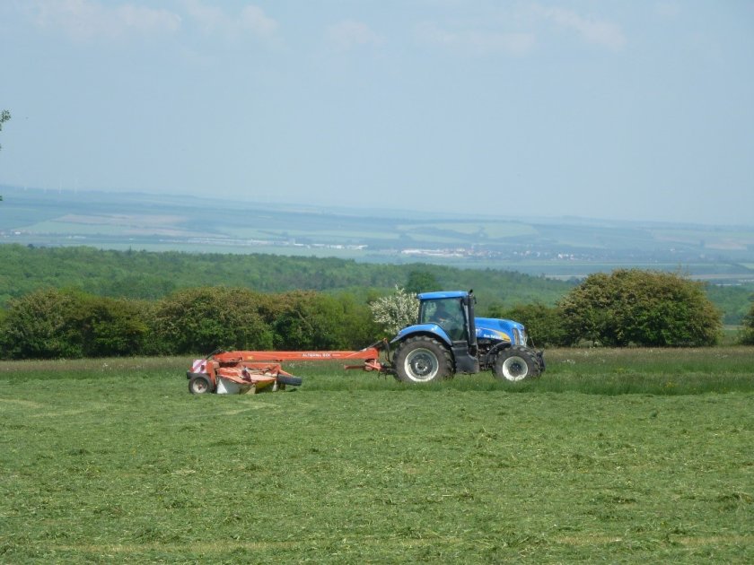 Grassland is known to potentially deliver an outstandingly high number of different ecosystem services to society (Source: Solen Le Clech) Grassland is known to potentially deliver an outstandingly high number of different ecosystem services to society (Source: Solen Le Clech)