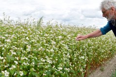 Researcher Wijnand Sukkel in a trial field (photo: OANEvents) Researcher Wijnand Sukkel in a trial field (photo: OANEvents)