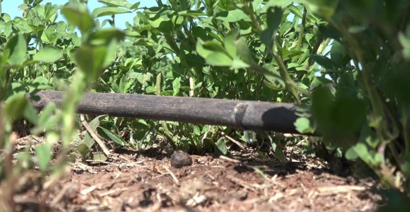 Water Technology - drip irrigation Water Technology - drip irrigation