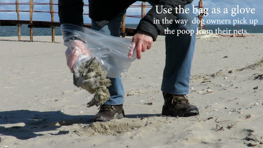 Use of bag to avoid any contact Use of bag to avoid any contact