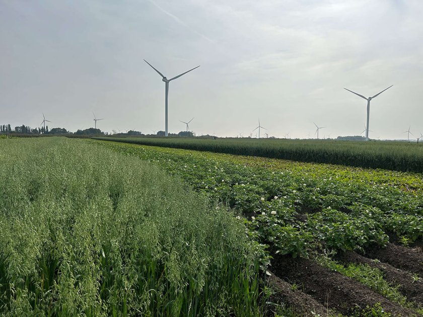 Hemus and ERF BV are operating in Flevoland, the Netherlands Hemus and ERF BV are operating in Flevoland, the Netherlands