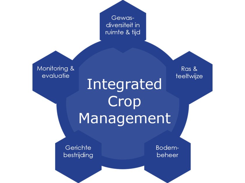 Figuur 1. De vijf pijlers van Integrated Crop Management. Aangepast van Sikora et al 2022, Riemens et al., 2022. Figuur 1. De vijf pijlers van Integrated Crop Management. Aangepast van Sikora et al 2022, Riemens et al., 2022.