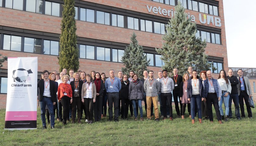 IMG_ClearFarmTeam.jpg IMG_ClearFarmTeam.jpg