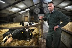 Dairy farmer Harm Wientjes in Oploo collaborates with three local arable farmers. Photo: Marcel van den Bergh Dairy farmer Harm Wientjes in Oploo collaborates with three local arable farmers. Photo: Marcel van den Bergh