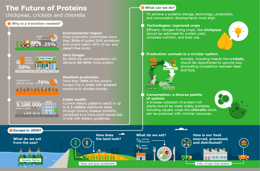 Protein transition Protein transition