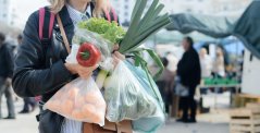 There may be a cap on the number of bags a European consumer can use per year There may be a cap on the number of bags a European consumer can use per year