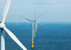 Biodiversity around wind farms is also being monitored, for example with a robotic arm that scrapes vegetation off wind turbine poles. Image: Sky Pictures. Biodiversity around wind farms is also being monitored, for example with a robotic arm that scrapes vegetation off wind turbine poles. Image: Sky Pictures.
