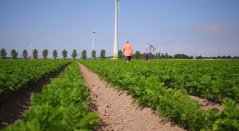 <L CODE="C18">Klik op bovenstaande foto om naar de video te gaan</L> <L CODE="C18">Klik op bovenstaande foto om naar de video te gaan</L>