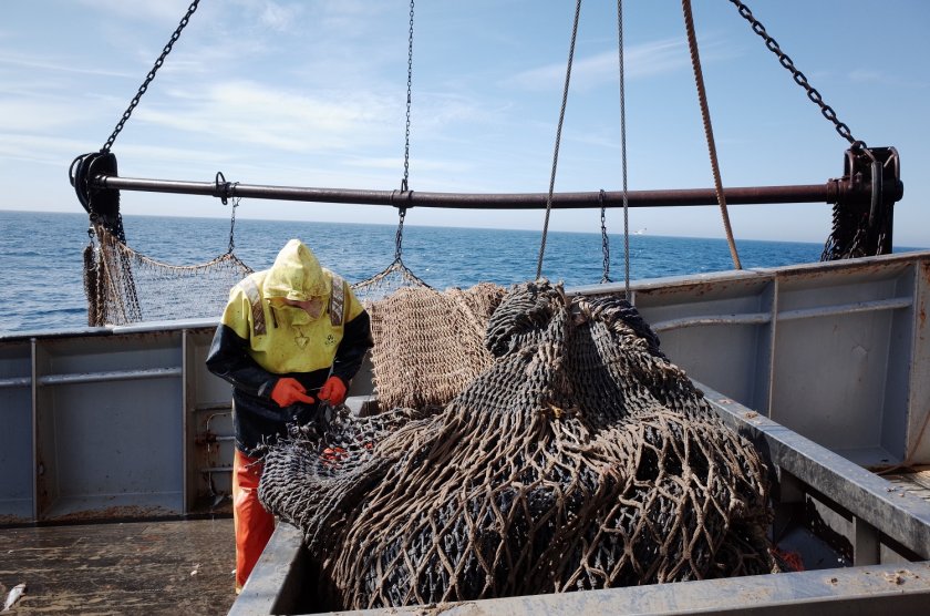 Fishing with bottom trawlers is not allowed at offshore wind parks. Photo: Tomasz Zawadovski. Fishing with bottom trawlers is not allowed at offshore wind parks. Photo: Tomasz Zawadovski.