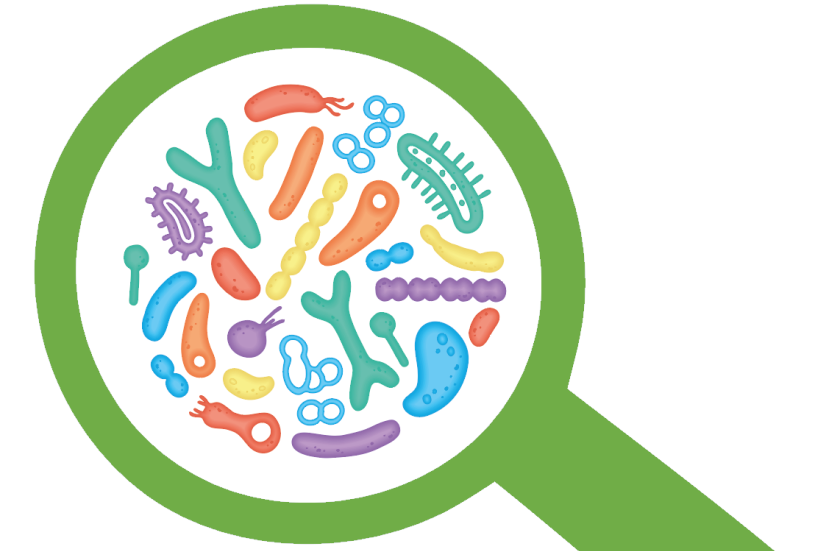 Microbiome under the looking glass Microbiome under the looking glass