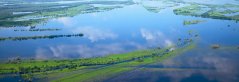 River delta and sea dykes River delta and sea dykes