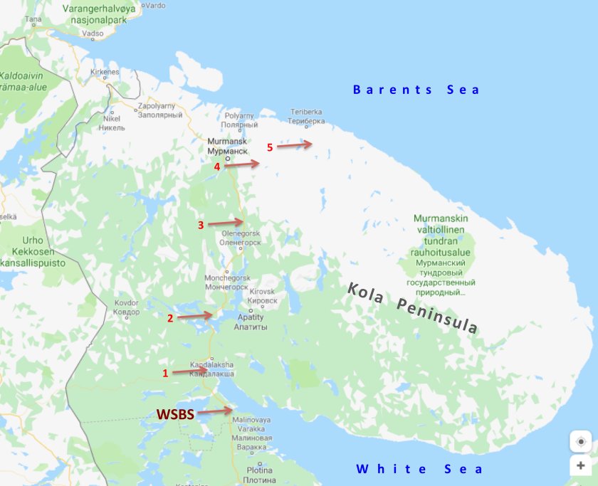 Fig. 4. The points of our sampling in the summer of 2019. Fig. 4. The points of our sampling in the summer of 2019.
