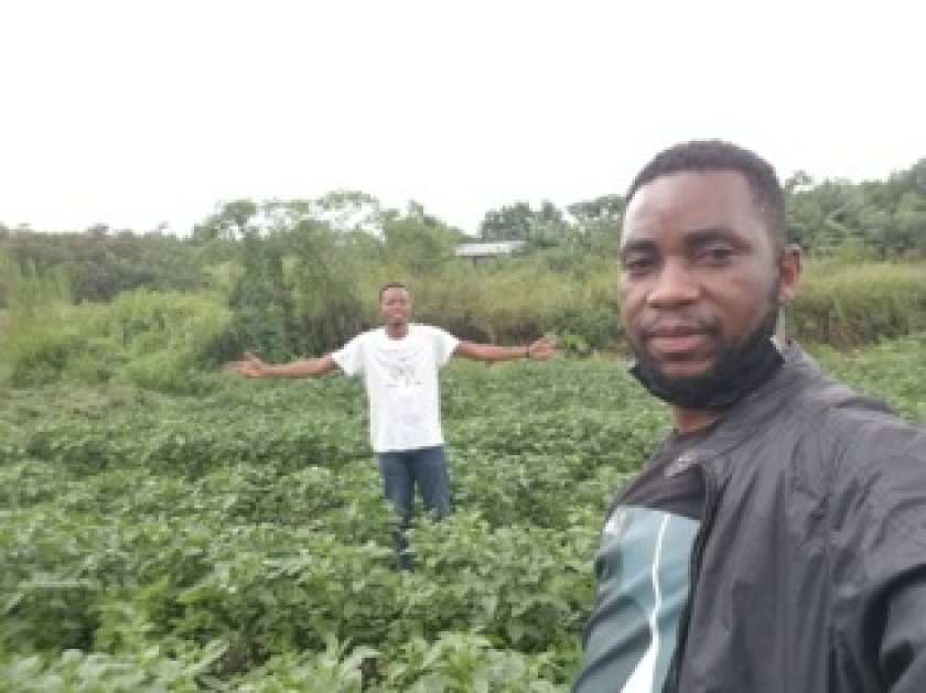 MabeleAgric.jpg MabeleAgric.jpg