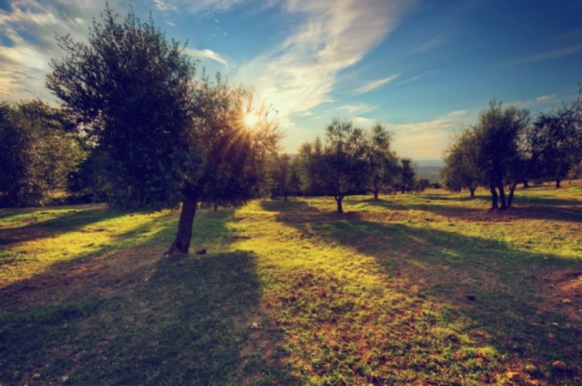 Foto door Bedneyimages (Freepik) Foto door Bedneyimages (Freepik)