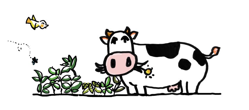 case study image for herb dairy.jpg case study image for herb dairy.jpg