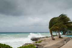 Door klimaatverandering komen er meer zware stormen voor. Zeegras beschermt de kust door de zeebodem vast te houden en het slaat veel koolstof op. Beeld: Shutterstock Door klimaatverandering komen er meer zware stormen voor. Zeegras beschermt de kust door de zeebodem vast te houden en het slaat veel koolstof op. Beeld: Shutterstock