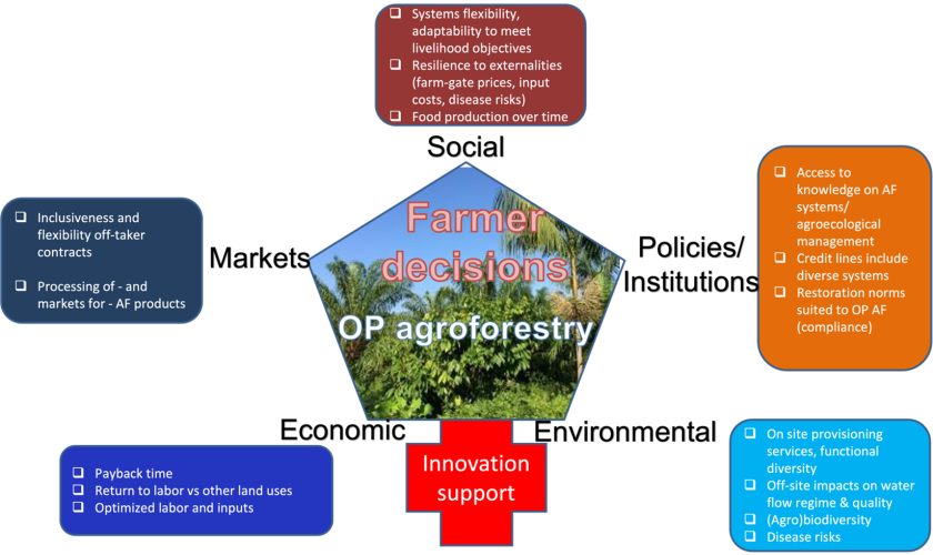 Factors underlying scaling of Oil Palm Agroforestry in the Brazilian Amazon Factors underlying scaling of Oil Palm Agroforestry in the Brazilian Amazon