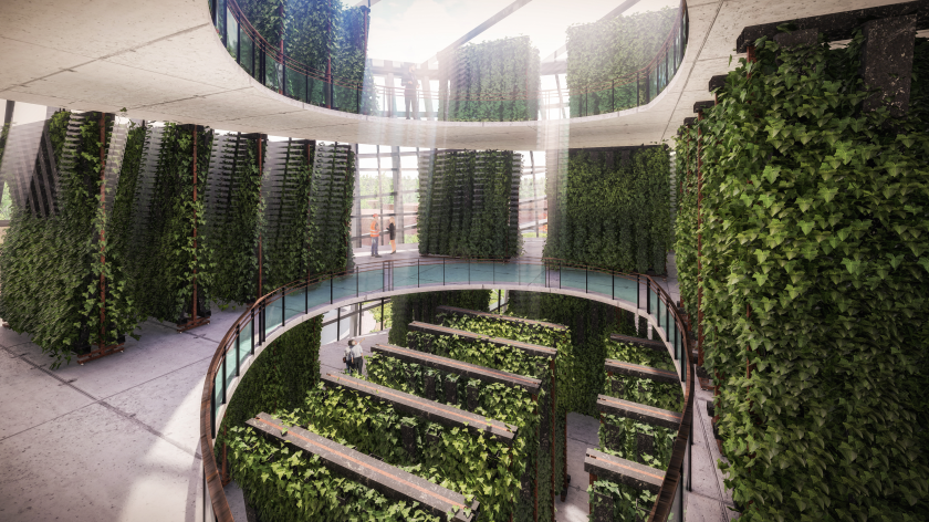 Team Bagua implemented vertical farming (Credit: Team Bagua). Team Bagua implemented vertical farming (Credit: Team Bagua).