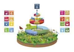 This figure illustrates how the natural system 'carries' the other systems This figure illustrates how the natural system 'carries' the other systems