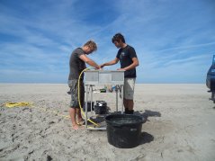 Research whether mega-supplementation like the Sand Motor has less impact on benthic animals than regular replenishment. Image: Jeroen Wijsman. Research whether mega-supplementation like the Sand Motor has less impact on benthic animals than regular replenishment. Image: Jeroen Wijsman.