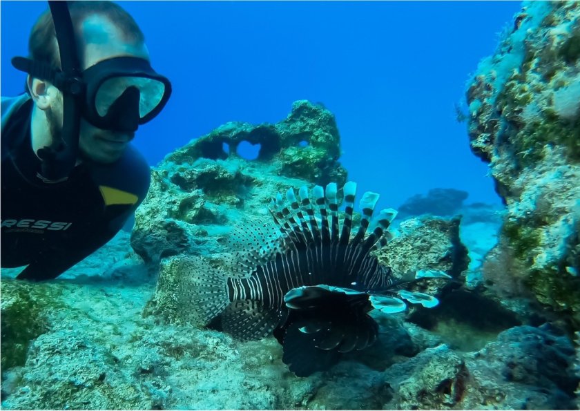 Davide Bottacini studies lionfish and fish diversity around Cyprus Davide Bottacini studies lionfish and fish diversity around Cyprus