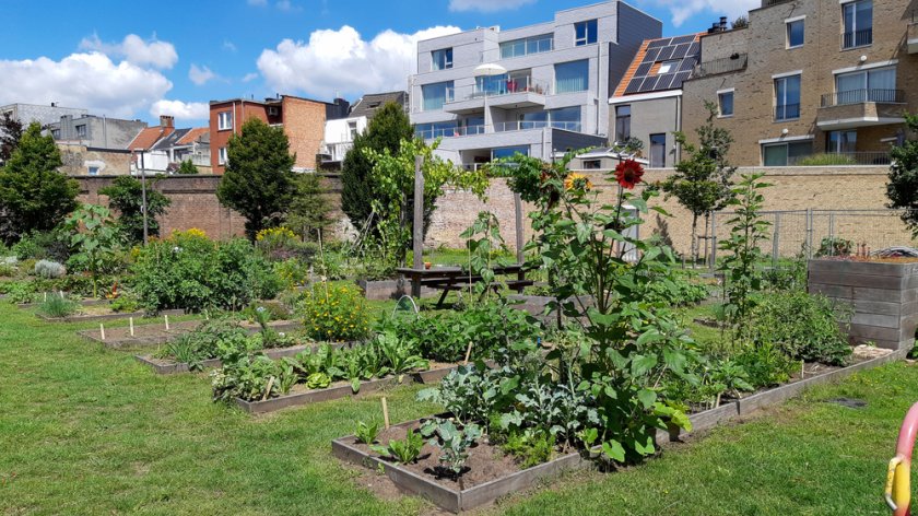 moestuin_1939378696.jpg moestuin_1939378696.jpg