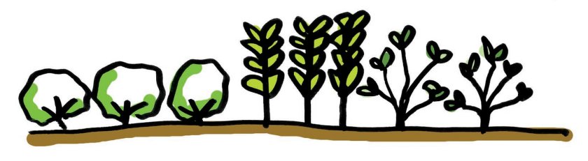 case study I_Spatial crop diversity_small.jpg case study I_Spatial crop diversity_small.jpg