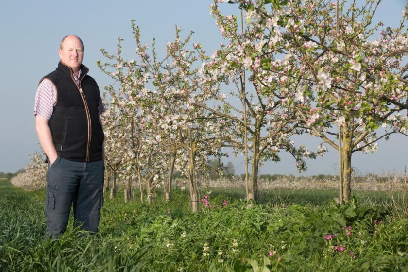 Agroforestry in Engeland Agroforestry in Engeland