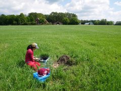 In Haaksbergen, researchers are pumping water to investigate how chemical residues still present in purified wastewater behave during the irrigation of fields. Photo: Jill Soedarso In Haaksbergen, researchers are pumping water to investigate how chemical residues still present in purified wastewater behave during the irrigation of fields. Photo: Jill Soedarso