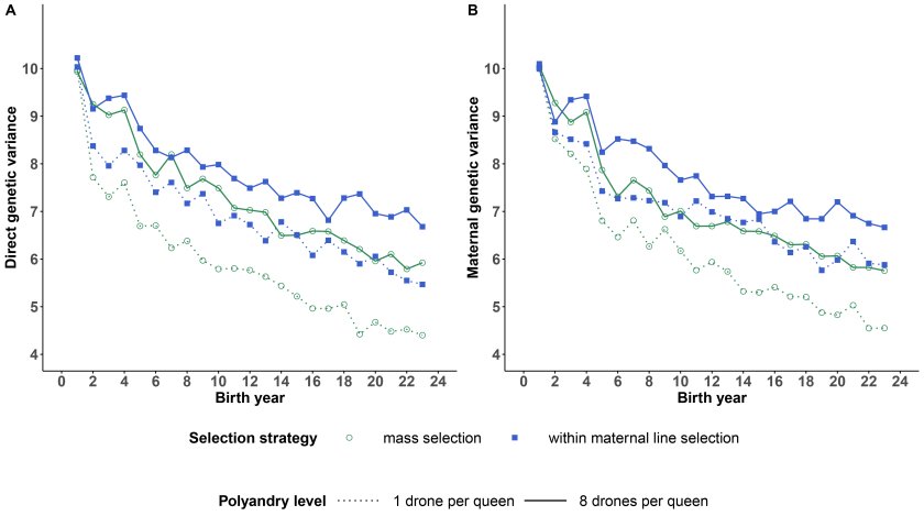 figure 2.jpg figure 2.jpg