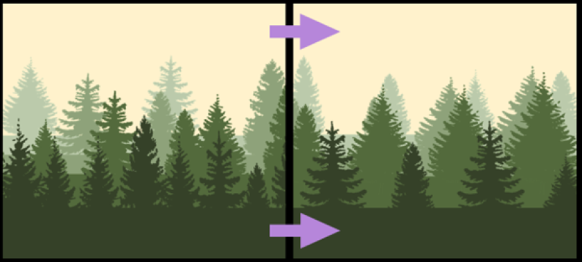 Expected shift in boreal forests. The left panel shows typical current tree densities: higher densities in the warmer southern boreal forests (foreground, dark green), lower densities in the cold northern boreal forests (background, light green). The right panel shows the modelled shift towards one density because dense forests become more open and sparse forests become denser. Expected shift in boreal forests. The left panel shows typical current tree densities: higher densities in the warmer southern boreal forests (foreground, dark green), lower densities in the cold northern boreal forests (background, light green). The right panel shows the modelled shift towards one density because dense forests become more open and sparse forests become denser.