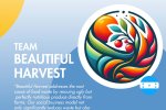 Beautiful Harvest