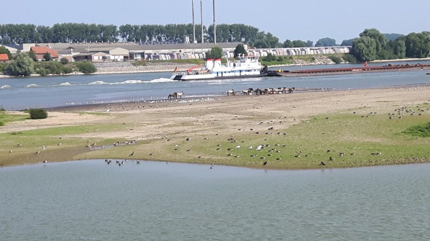 Millingerwaard_Liesbeth Bakker.jpg Millingerwaard_Liesbeth Bakker.jpg