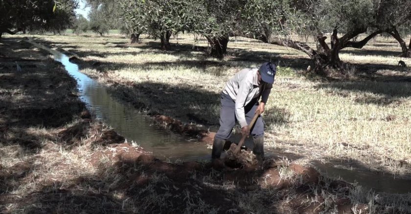 Agricultural Water Management Morocco Agricultural Water Management Morocco