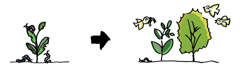 case study I Natural pest control_small & enlarged.jpg case study I Natural pest control_small & enlarged.jpg