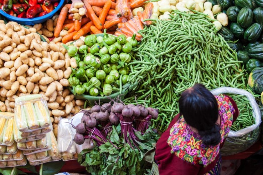 ‘A whole system rethink is needed. One which emphasises inclusive and equitable decision-making.’ Photo: Tati Nova photo Mexico / Shutterstock.com. ‘A whole system rethink is needed. One which emphasises inclusive and equitable decision-making.’ Photo: Tati Nova photo Mexico / Shutterstock.com.